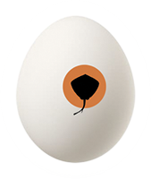 Egglike